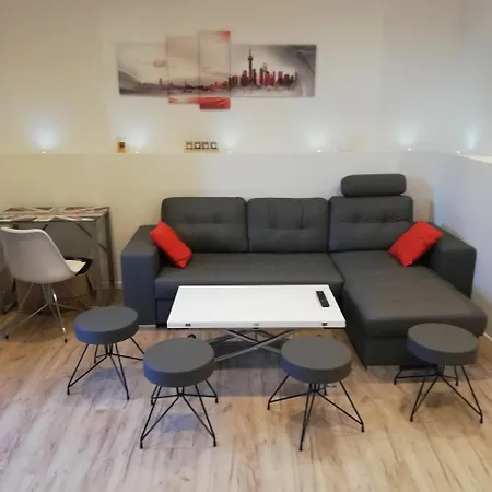 Centre Ville 50 M2.. Parking Appartamento Pau